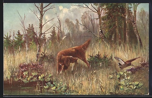 Cartolina artista müller - cartolina, m.