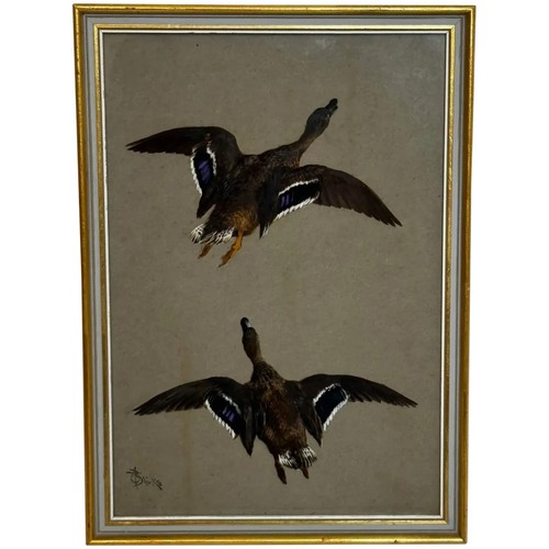 Dipinto vittoriano uccelli - dipinto,