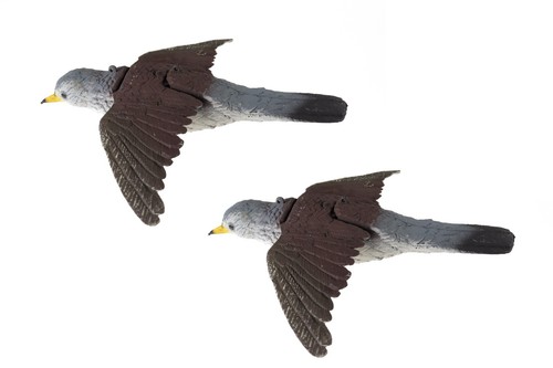 Coppia uccelli richiamo - coppia, da